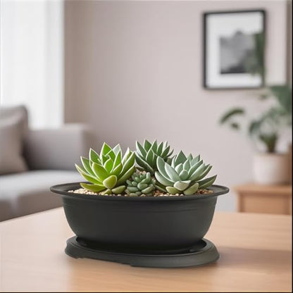 3 Pack Mixed Size Oval Bonsai Planter Pot with Drainage Tray, Matte Finish Ellipse Plastic Bonsai Succulent Growing Pot for Home Garden Plant Container 9.1” 7.2” 5.2” - size: 5.2" / 7.2" / 9.1" Mixed