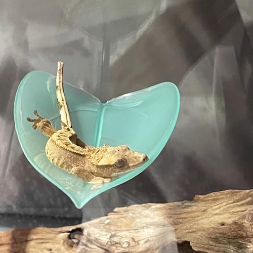 Turtle Basking Area - Reptile Tank Leaf Terrace, Floating Terrarium Creatures | Climb Support Pad, Suction Accessory Rest Spot, Gecko Toad Frog Deck for Garden Aquatic Display