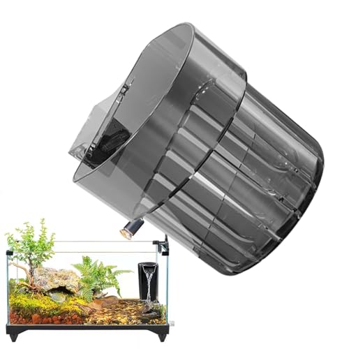 Plances for Pisher Tank Assembled Aquarium | Plant with Hook | Fish with Water Hooks | Water Grow Decoration
