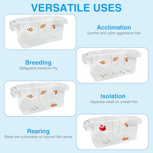 Fish Breeding Box - 4 Rooms HD Aquarium Breeder with Suction Cups, Baby Hatchery Acrylic Incubator Isolation Box, Artificial Plant for Guppy Hatchery - size: 4 Rooms