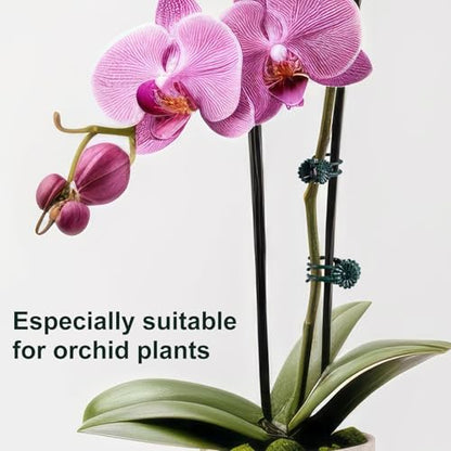 OIIKI 60pcs Orchid Clips for Plants Support, Plant Orchid Support Clips, Vine Tools Supports for Garden Climbing Stems Vines Climbing Plants- Dark Green