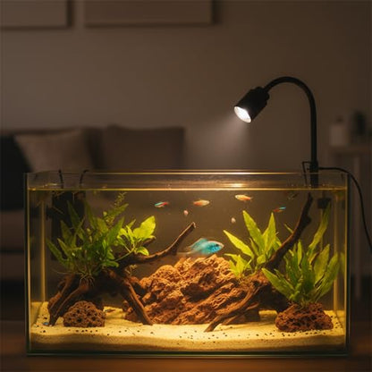 Zoom Mini Aquarium Spotlight with Timer – Gooseneck Clip-On Lamp, 15°–90° Zoom Beam, Tri-Color White/Warm White/Warm Light, Full Brightness Dimming (Black - NO Timer) - color: Black - NO Timer