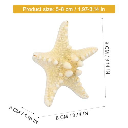 ULTECHNOVO Natural Decorative Ornament 3.14 Inch Seashell Wall and Aquarium for Home Wedding Garden Crafts