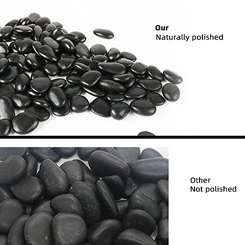 Black Pebbles for Plants 3lb Bulk Bag 0.5"- 1" Aquarium Gravel Decorative Polished Stone Natural River Rocks for Fish Tank… - size: 3LB, style: Black