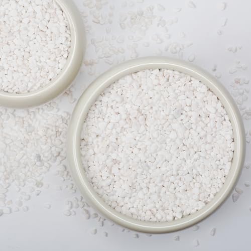 5lbs Natural Gravel Pebbles for Succulents and Cacti, 1/5 Inch Decorative River Stones – Perfect for Vases, Aquariums, Terrariums, and Outdoor Gardening, Mixed Colors (White, 5 Pounds) - color: White, size: 5 Pounds