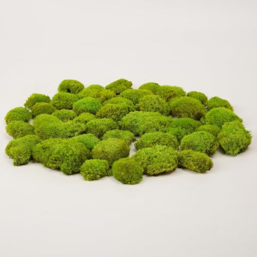 Preserved Pole Moss Pillow Bun Cushion Natural Green Decorative Real Natural Green DIY Kit Gardenning Art Wall Decor Florist Decor Easter Table Decor Wedding(1.5 sq.ft, Green-E) - color: Green-e, size: 1.5 sq.ft.