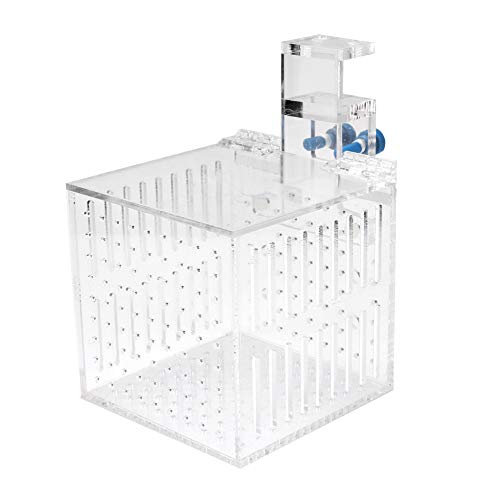 Clear Acrylic Fish Tank Isolation Box, Multifunctional Enclosure for Small Pets, 10.5 cm³, Water Flow Assurance