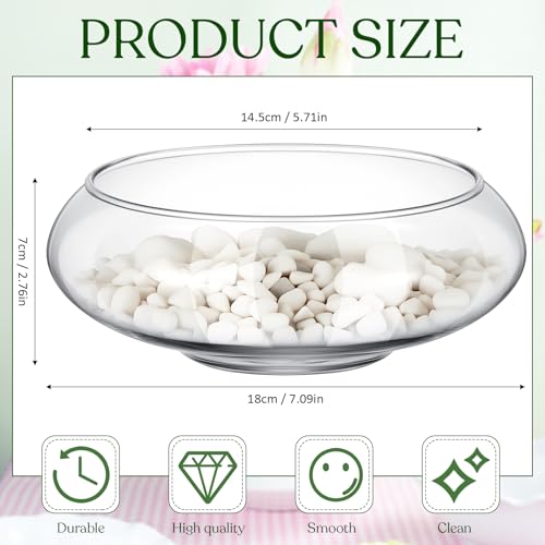 6 Pcs Hydroponic Planter Lotus Flower Pot Planter Lotus Bowl Clear Glass Fish Bowl Vase for Planting Indoor Home Decor Water Lily Narcissus Planting Water Lily (7.09in) - size: 7.09in