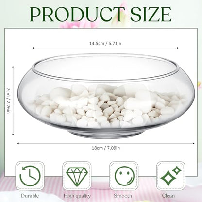6 Pcs Hydroponic Planter Lotus Flower Pot Planter Lotus Bowl Clear Glass Fish Bowl Vase for Planting Indoor Home Decor Water Lily Narcissus Planting Water Lily (7.09in) - size: 7.09in