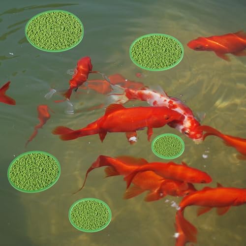 Fish Feeding Ring, Floating Plant Corral, Aquarium Floating Plant Ring, Floating Ring Aquarium Feeding Ring, Fish Tank Plant Corral Set for Aquarium Accessories, 5pcs, Green