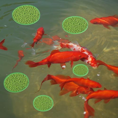 Fish Feeding Ring, Floating Plant Corral, Aquarium Floating Plant Ring, Floating Ring Aquarium Feeding Ring, Fish Tank Plant Corral Set for Aquarium Accessories, 5pcs, Green