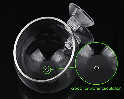 Aquatic Plant Cups 2 Pieces Crystal Glass Plant Pot with 2 Suction Cups for Aquarium Decoration