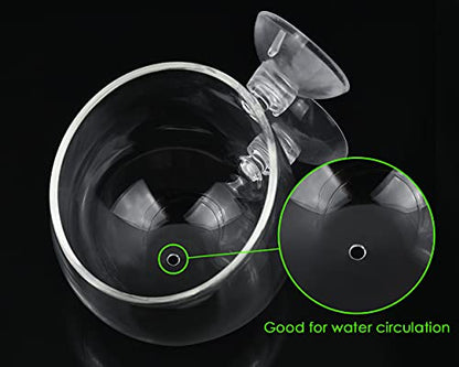 Aquatic Plant Cups 2 Pieces Crystal Glass Plant Pot with 2 Suction Cups for Aquarium Decoration