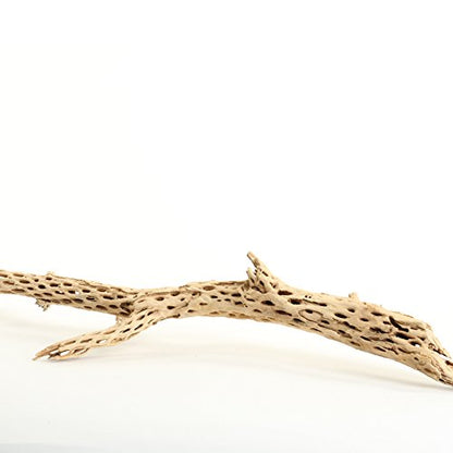 Koyal Wholesale 18-20" Cholla Wood Aquarium Leopard Gecko Tank Accessories Untreated Large Driftwood for Aquarium Wood Hermit Crab Accessories Drift Wood for Shrimp Tank Gecko Accessories