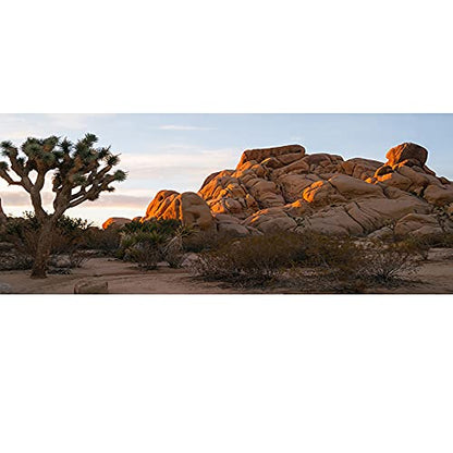 30x12 inches Joshua Tree National Park Backdrop Arid Barren Cactus Sandstone Rock Climate Hot Desert Reptile Habitat Natural Photography Background for Terrarium Background Polyester Fabric - size: 30x12in-P