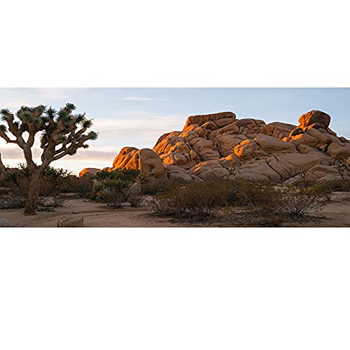 30x12 inches Joshua Tree National Park Backdrop Arid Barren Cactus Sandstone Rock Climate Hot Desert Reptile Habitat Natural Photography Background for Terrarium Background Polyester Fabric - size: 30x12in-P