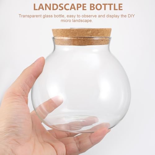 Hemobllo Fish Tank Micro Landscape Bottle 5.51In Transparent Borosilicate Glass Ecological Bottle with Integrated Led Light for Home Office Desk Decoration - size: 14X13X13cm