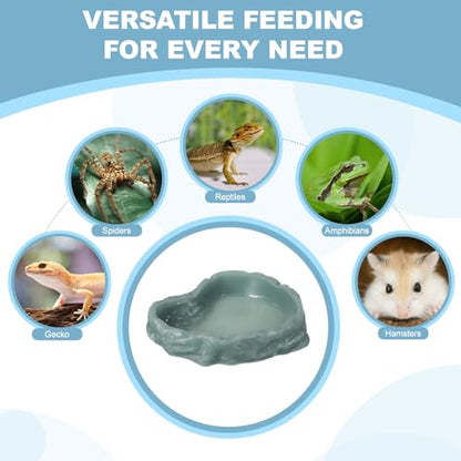 Reptile Food Bowl, Reptile Feeding Dish Corner Bowl Water Resin Rock Worm Feeder Dish l (9.8 in, Glow Dark Green), Intended for Lizards/o/Scaled Pet/Leopard/Spiders