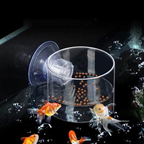 Suction Cup Feeder with Suction Cup Fish Shrimp Feeder Rectangle/Round Floating Fish Food Tray Acrylic Aquarium Fish Feeder(one Size-Rectangle) - color: rectangle, style: one size