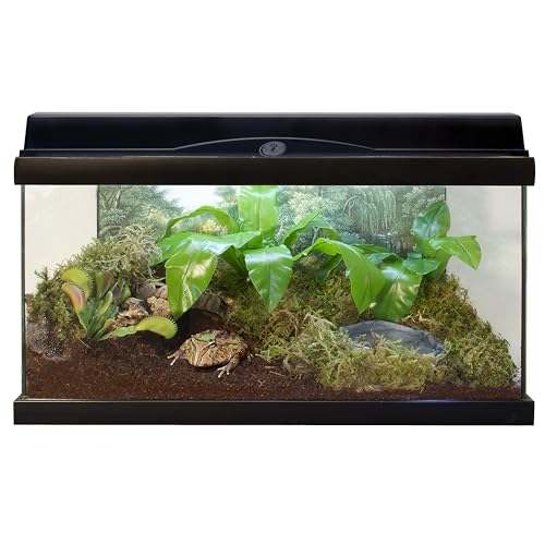 Zoo Med Eco Earth Compressed Coconut Fiber Expandable Substrate - 3 Pack