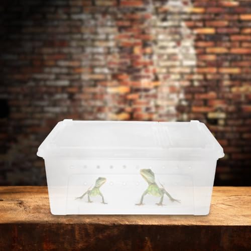 POPETPOP Reptile Breeding Box Plastic Spider Enclosure : Reptile Feeding Box Spider Terrarium - Transparent Hatching Container for Lizard Gecko, 25.8X15.1X11cm