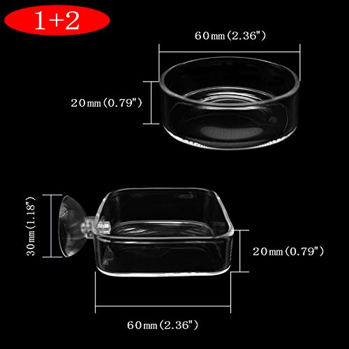 Aquarium Shrimp Feeder Dish Glass Fish Tank Feeding Bowls, 2pcs Square Glass Food Bowl (60mm), 1pcs Round Fish Feeding Bowls with Suction Cups (60mm)