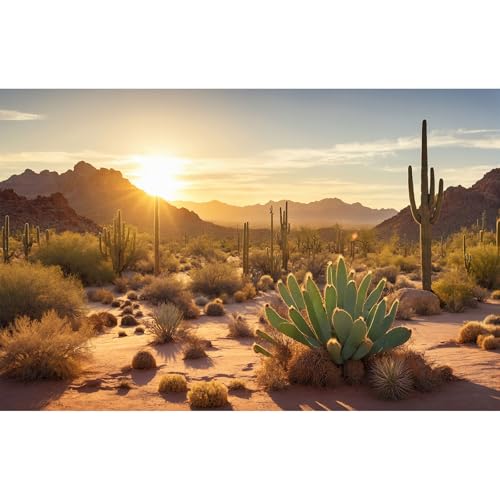Reptile Habitat Background Sunset Desert Tank Decors Saguaro Cactus Arid Mountain Range Terrarium Background Cacti Sand Dunes Aquarium Background Desert Mountain Fish Tank Background 36x20in - color: Orange, size: 36(W)x20(H)in