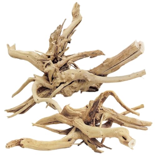 Natural Driftwood for Aquarium, 11-13 inch Reptile Branches Terrarium Wood Aquarium Trunk Driftwood Tree Fish Tank Log Decoration Pack of 2 - size: Spiderwood（7-13 inch pack of 2）