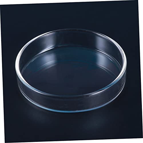 Toddmomy Clear Glass Shrimp Feed Dish Small Fish Feeding Bowl Durable Glass Feeder for Shrimp Fish and Reptiles for Aquariums and Home Decor
