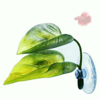 DODO Aqua Betta Fish Leaf Soft Bed Simulating The Natural Habitat for Betta Spawning Grounds Breeding Resting Bed Plastic Suction Cup (1pcs)