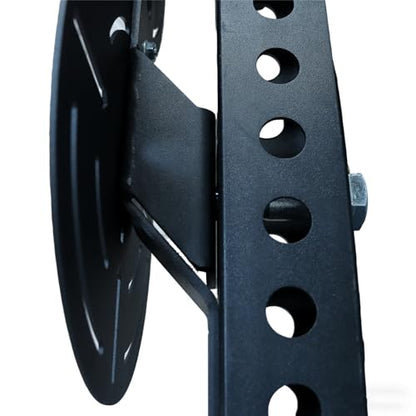 Metal Double Wall Ball Target with Extension Rack Mounted - size: Hole Diameter:5/8"