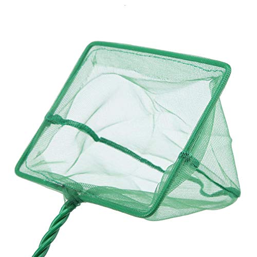 Aquarium Net,Fish Landing Net, Aquarium Fish Net Long Handle Aquarium Fish Fishing Net Portable Green Fishbowl Fishing Landing Net Floating Objects Clean Tools(6 inch)