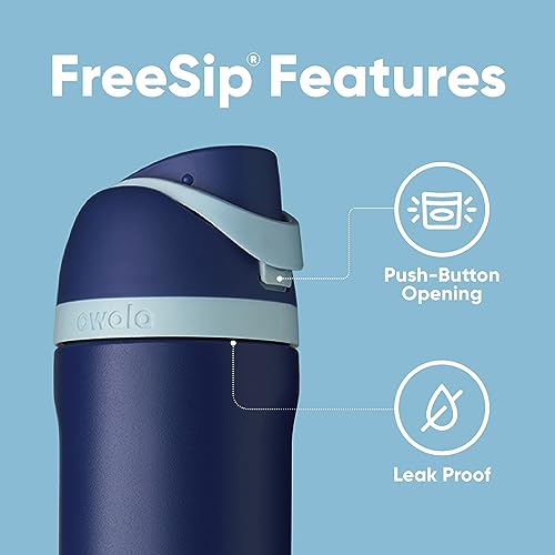 Owala Harry Potter FreeSip Stainless Steel Water Bottle 24 oz Ravenclaw - color: Ravenclaw, size: 24 Ounces