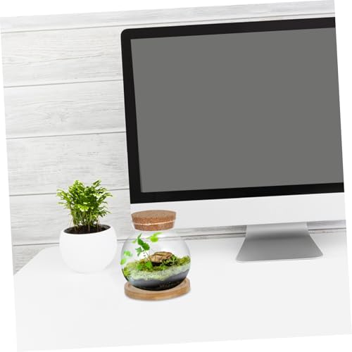 Ipetboom Plants Propagation Station Hydroponic Glass Vases with Mat for Desktop Use Small Fish Bowls for Gardening Lovers Planter for Indoor Plants and Flowers