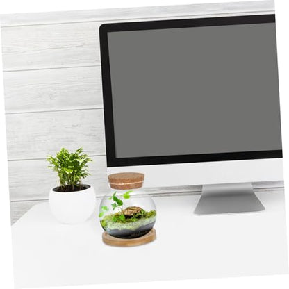 Ipetboom Plants Propagation Station Hydroponic Glass Vases with Mat for Desktop Use Small Fish Bowls for Gardening Lovers Planter for Indoor Plants and Flowers
