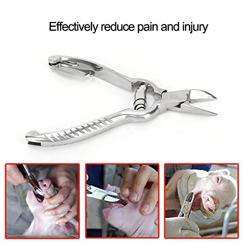Pig Tooth Nipper Pliers, Stainless Steel Pig Teeth Clippers, 14cm/5.5in Pig Teeth Cutting Tool with Ergonomic Handle, Gourd Shaped Piglet Teeth Pliers for Home and Farm