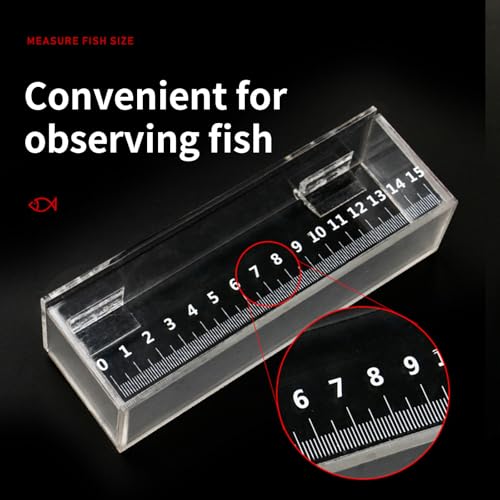 Practical Fishtanks Breeder Box for Fish Eggs Hatching and Isolating Small Fish Clear Acrylic Observation Breeding Tanks Professional Research Tool