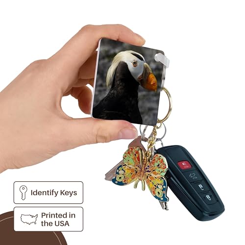 3dRose, Tufted Puffin bird, Aquarium, Newport, Oregon, USA - US38 RBR0514 - Rick A Brown, Key Chain - size: set of 6 Key Chains