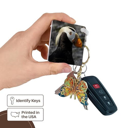 3dRose, Tufted Puffin bird, Aquarium, Newport, Oregon, USA - US38 RBR0514 - Rick A Brown, Key Chain - size: set of 6 Key Chains