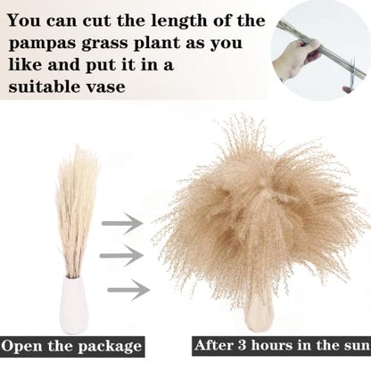 Dried Pampas Grass Decor, 100 Stems Pampas Grass Contains Bunny Tails Dried Flowers, Reed Grass Bouquet for Wedding Boho Flowers Home Table Decor, Rustic Farmhouse Party (17", White and Brown) - size: 100PCS