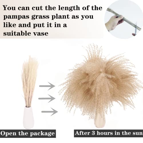300 PCS Dried Flower Bouquet – Pampas Grass, Floral Decor for Home, Wedding, and Boho Style | Perfect for Vases, Fall, Spring, Summer, and Winter Arrangements - size: 300PCS
