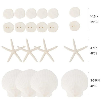 JQAQJU 20PCS Sea Shells for Crafting 3-4", Mini Sand Dollars Starfish Decor for Crafts, Scallop Shells for Cooking, Seashells for Crafts DIY Beach Theme Party Candle Decor Wedding Fish Tank