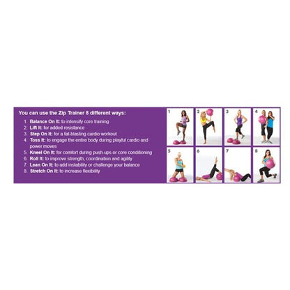 The Firm Zip Trainer Medicine Ball Kit