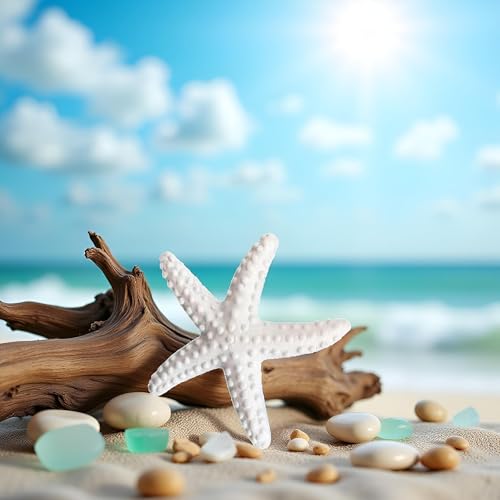1Pc White Resin Ocean Beach Starfish Natural Seashell Starfish Ornaments for Wedding Decor Beach Theme Party Home DIY Craft Fish Tank Holiday Decoration, Vase Filler, Home and Kitchen