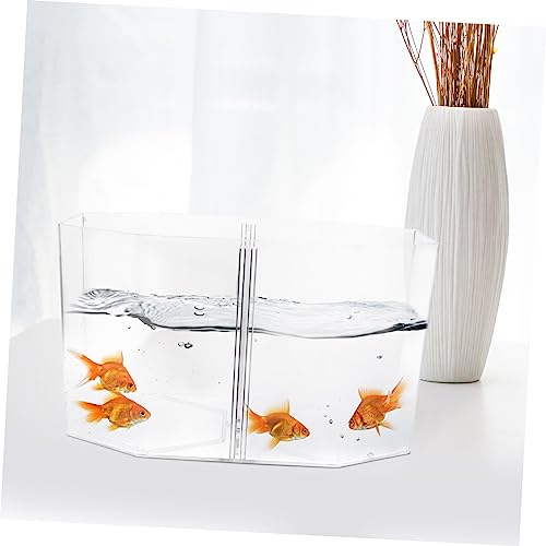 Toddmomy Betta Fish Breeding Box Clear Design Dual Room Isolation Tank for Small Fish and Shrimp Easy to Clean Incubation Box for