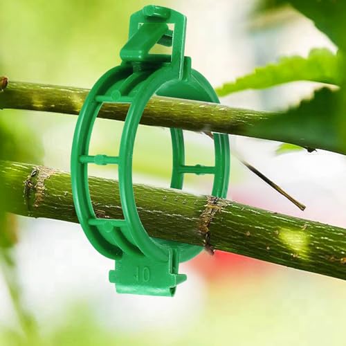100PCS Green Plant Support Clips, Tomato Clips, Garden Clips, Trellis Clips, Vine Clips for Climbing Plants to Prevent Tomatoes from Pinching or Falling Off - color: Green 100pcs