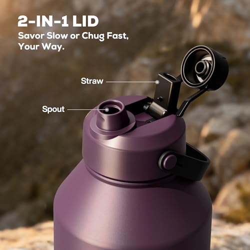 POWCAN 64 oz Insulated Water Bottle with 2-in-1 Straw & Spout Lid, Leakproof, Top Handle, Keep Cold 48H, BPA-Free, Brush, Metal Water Bottle with Carrier Bag for Work, Sports, Travel and Gym (Plum) - color: Plum