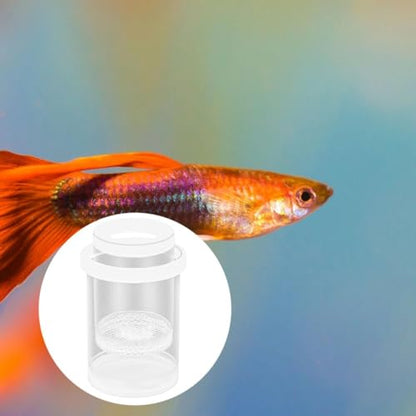 Fish Breeding Box Floating Fish Isolation Container Aquarium Incubator Holder Cylindrical Design Clear Pp Material Suitable for Betta Guppy Clown, White