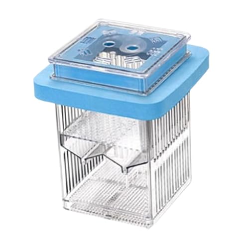 Baoblaze Fish Hatching Box Isolation Case Large Capacity Detachable Aquarium Supplies Fishtank Breeder Aquarium Hatchery for Home Use, Blue