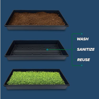 5 Pack of Durable Black Plastic Growing Trays (Without Drain Holes) 21" X 11" X 2" - Flowers, Seedlings, Plants, Wheatgrass, Microgreens & More - size: 5 pack